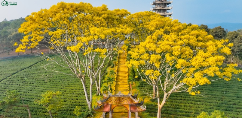 Phường 3 Bảo Lộc