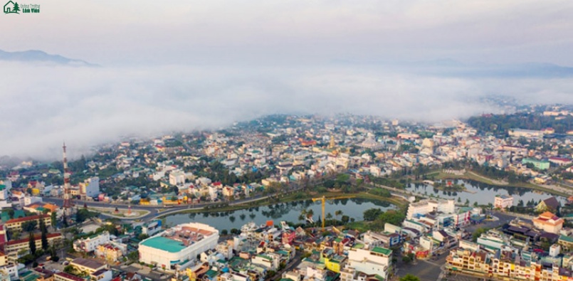 Phường B'Lao